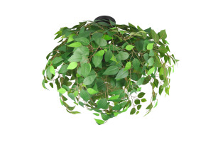 LEAVY - Nowoczesna lampa sufitowa 3xE14 - kolor czarny