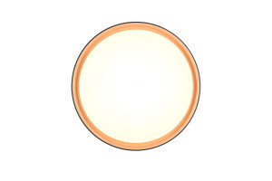 FELIS - Nowoczesna lampa sufitowa 1xLED zintegrowany 2700-6500K - kolor czarny