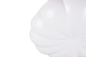 BORAS - Nowoczesna lampa sufitowa 1xLED zintegrowany 2700-6500K - kolor biały