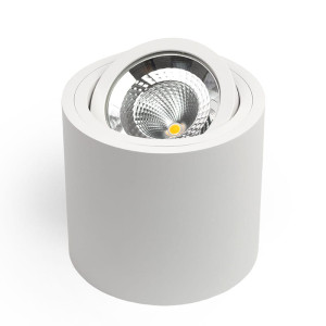 SASARI RO 15W 1436lm 4000K Biała OXYLED DLN15 36 4K R biały