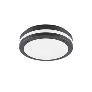 Kendal Antracyt LED 12W 3000K IP54 Lampa sufitowa zewnętrzna Plafon RL R62151142