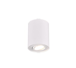 Cookie Biały mat GU10 Downlight Trio