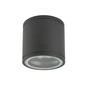 Adela Midi Ciemny popiel 1xGU10 Downlight zewnętrzny