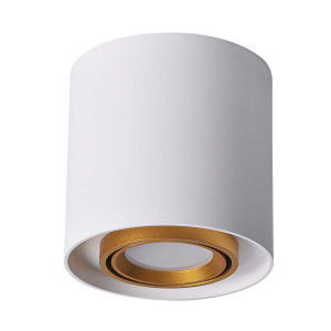 EGER | XENO GU10 okrągła biało-złote Downlight Polux