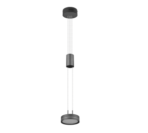 FRANKLIN Antracyt LED 9W 3000K ściemnialna Lampa wisząca Trio 326510142