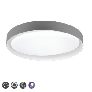 ZETA Szara DIM 24W 2700 - 6500K Lampa sufitowa RL R62712411