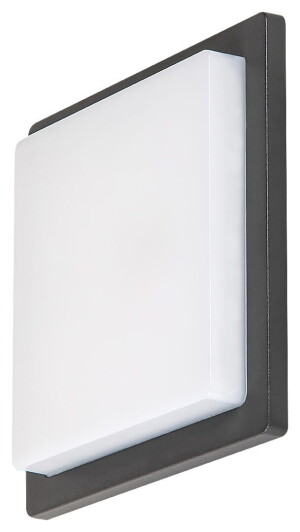 Ontario antracyt LED 8W 4000K Kinkiet zewnętrzny
