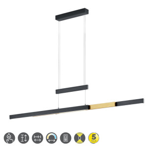TRAJAN Czarny mat | Mosiądz mat LED DIM 42W 2700K-5000K ściemnialna Lampa wisząca Trio 375310502