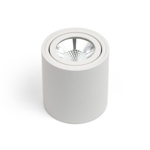 SASARI RO 6W 450lm 4000K Biała OXYLED DLN6 36 4K R biały