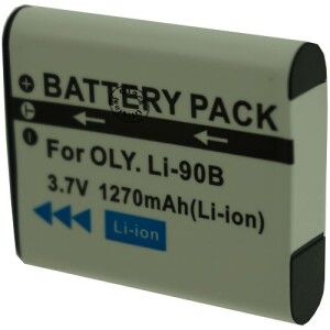 Batterie pour Ricoh DB-110