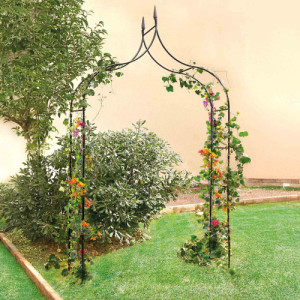 L'Homme Moderne Arche florale