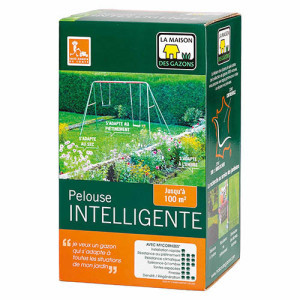 L'Homme Moderne Pelouse intelligente Continentale
