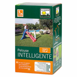 L'Homme Moderne Pelouse intelligente Sud et bord de mer