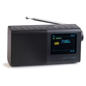 L'Homme Moderne Radio grand écran DAB+ Muse