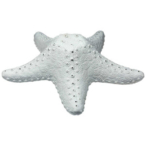 L'Homme Moderne La lampe étoile de mer