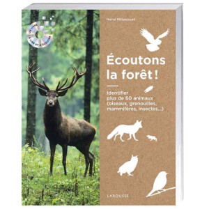 L'Homme Moderne Écoutons la forêt