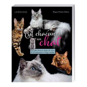L'Homme Moderne À chacun son chat