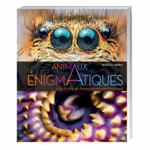 L'Homme Moderne Animaux énigmatiques