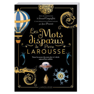 L'Homme Moderne Les Mots disparus de Pierre Larousse