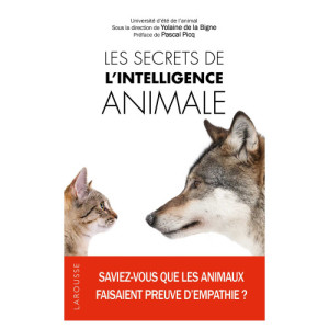 L'Homme Moderne Les Secrets de l’intelligence animale
