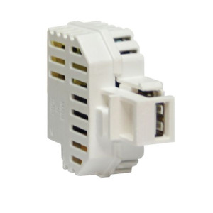 Fanton 82890 Einbau-Netzteil-Ladegerät Mit Keystone-Kupplung, 1 Usb-A 5v 2,1a-Buchse