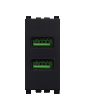 Ettroit Usb-Buchse, Usb-Ladegerät, 5 V, 2,1 A, 2 Usb-A-Anschlüsse, Farbe Schwarz, Kompatibel Mit Vimar Arke