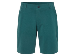 Livergy® Pánske šortky (zelená, M (48/50))