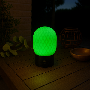 Akku Tischlampe, 20cm, 280 lm, 2700 K, RGB, dimmbar, Wireless Charging