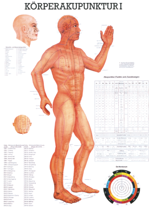 «Körperakupunktur I», laminiert Miniposter 24 x 34 cm laminiert