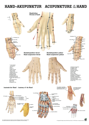 «Hand-Akupunktur», laminiert Poster 50 x 70 cm laminiert