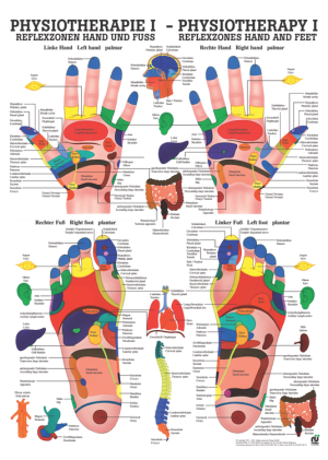 «Reflexzonen Hand und Fuss», laminiert Poster 50 x 70 cm laminiert