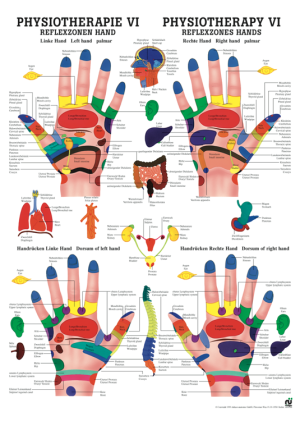 «Reflexzonen Hand», laminiert Miniposter 24 x 34 cm laminiert