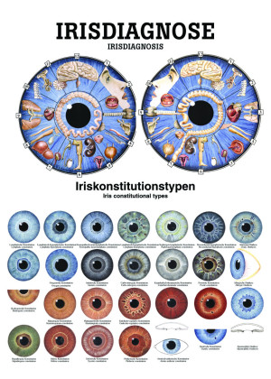 Lehrtafel «Irisdiagnose», laminert Miniposter 24 x 34 cm laminiert