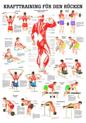 «Krafttraining für den Rücken», laminiert Miniposter 24 x 34 cm laminiert