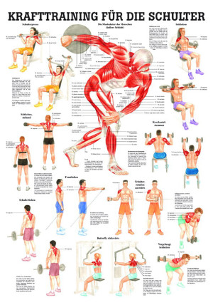 «Krafttraining für die Schulter», laminiert Miniposter 24 x 34 cm laminiert