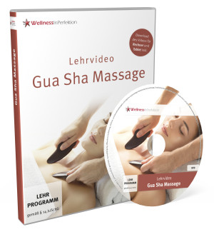 Lehrvideo DVD: «Die Gua Sha-Massage» 98 Min., inkl. Download-Link