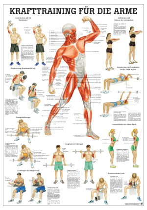«Krafttraining für die Arme», laminiert Tafel 70 x 100 cm laminiert