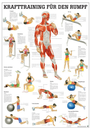 «Krafttraining für den Rumpf», laminiert Miniposter 24 x 34 cm laminiert