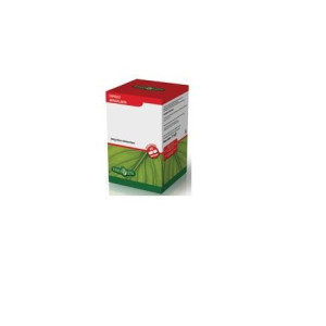 Erba Vita Garcinia Cambog 60cps 400mg Ebv