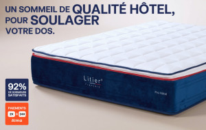 Litier Français Matelas Pro Hôtel -  160 x 190 (cm)
