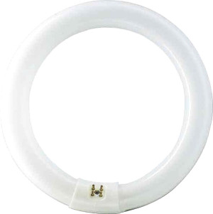 Philips Leuchtstofflampe TL-E 40W/840 - Lampes fluorescentes, socle spécial