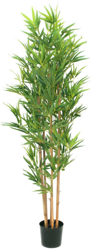 EUROPALMS Bambou deluxe, plante artificielle, 150cm - Arbres