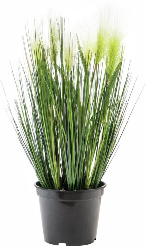 EUROPALMS Herbe à plumes, artificielle, blanche, 60cm - Herbes