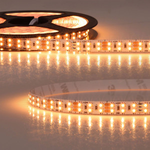 ISOLED Ruban LED CRI919/940 CCT, 24V, 20W 20W, IP20, 500cm, 3 pôles, câble avec fiche, 480 LED/m - Bandes LED