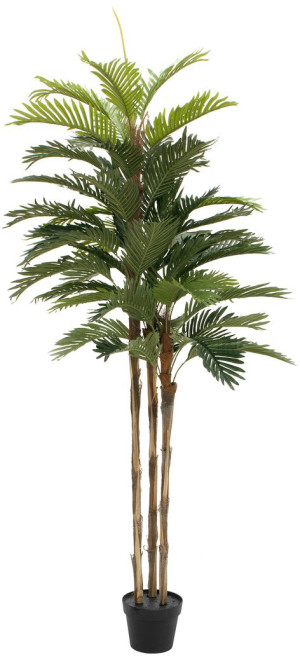 EUROPALMS Palmier de Kentia, plante artificielle, 150cm - Palmiers