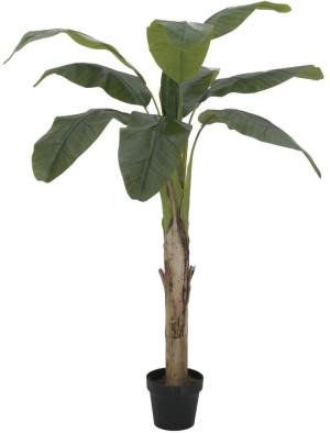 EUROPALMS Bananier, plante artificielle, 145cm - Palmiers