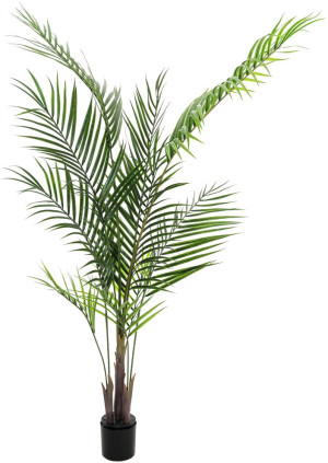 EUROPALMS Palmier Areca avec grandes feuilles, plante artificielle, 165cm - Palmiers