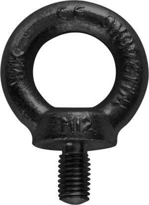 Boulon à œil Riggatec DIN 580 M20, galvanisé, noir - Anneaux de levage, écrous de levage et maillons de suspension