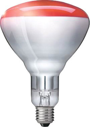 Philips InfraRed 150R R125 E27 - Radiateur à infrarouges