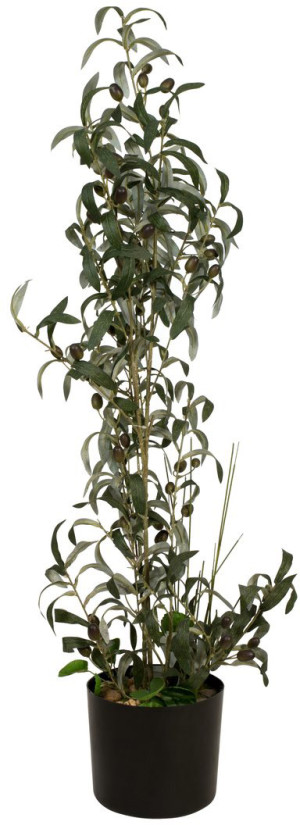 EUROPALMS Olivier, plante artificielle, 104 cm - Arbres